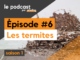 podcast-diagnostic-termite
